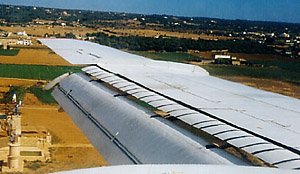 Fly flaps.jpg